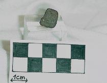 NWA 770, Legaaida - an ultra-rare CH3 chondrite!